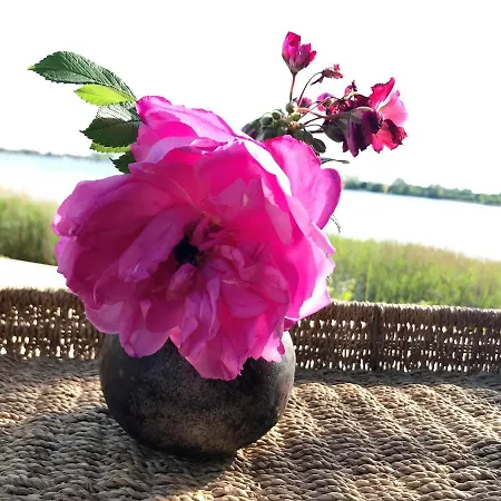 Schleistrand Apartament *